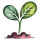 Sprout Icon